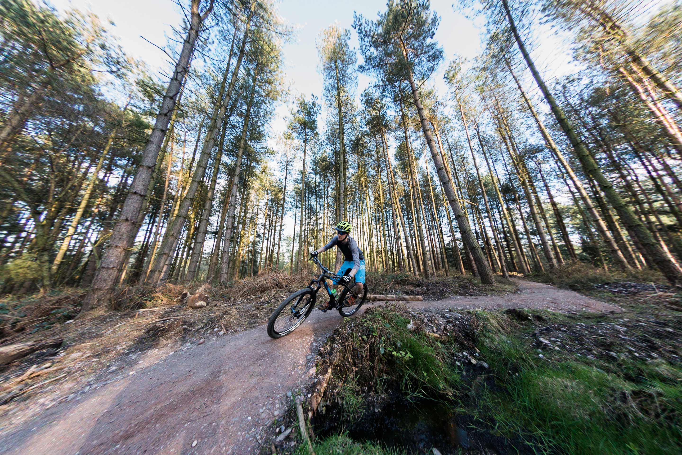 Cross Country MTB Trails - Chase Trails